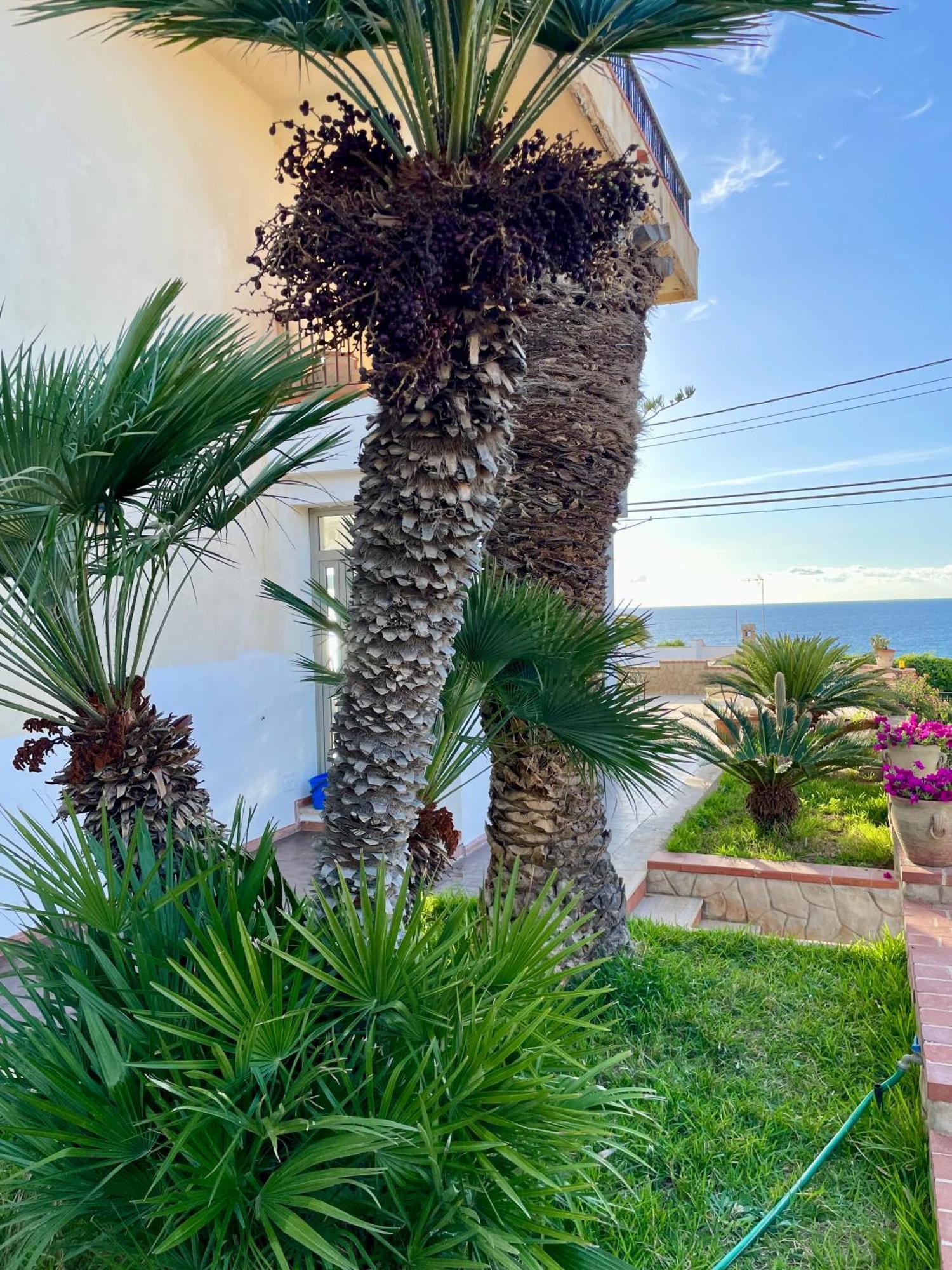 Villa Sul Mare Palazzolo 트라페토 외부 사진