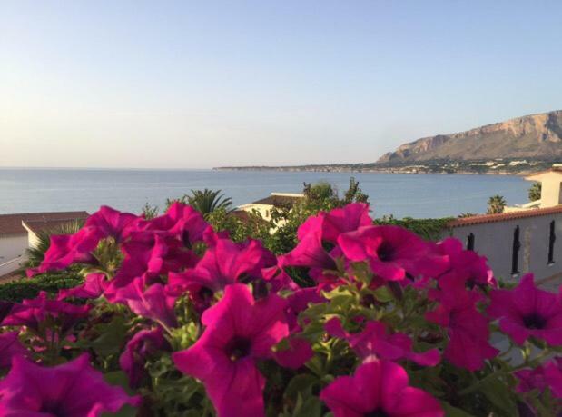 Villa Sul Mare Palazzolo 트라페토 외부 사진